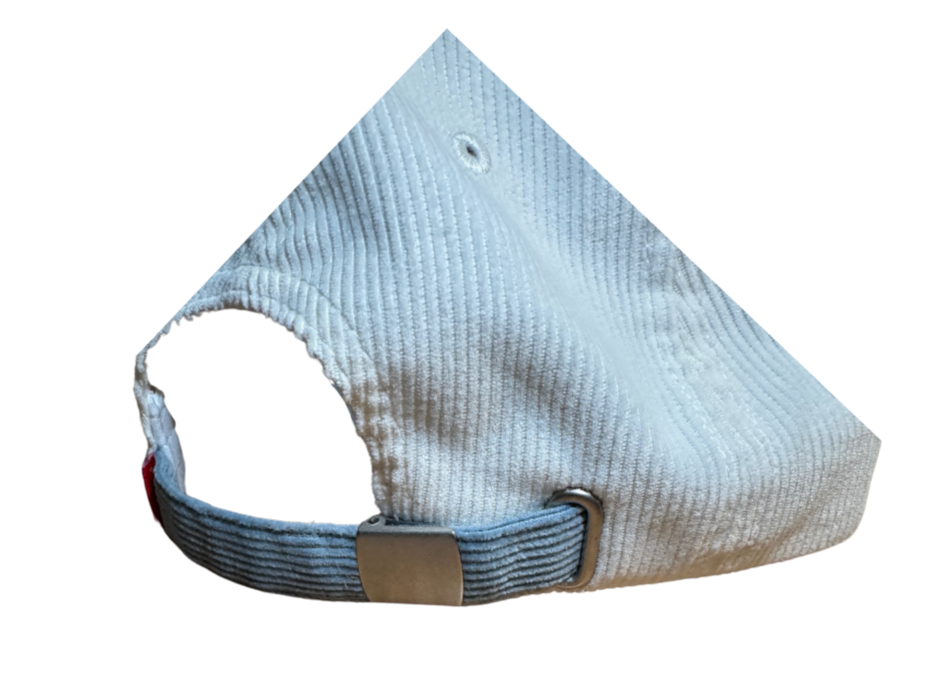 Fuckcancer 90s style 2-Tone Corduroy Hats Electric Blue