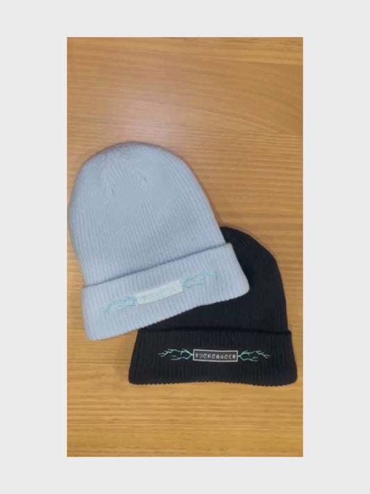Fuckcancer Embroided Beanies